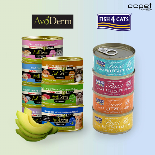 브랜드 라인업업 이미지