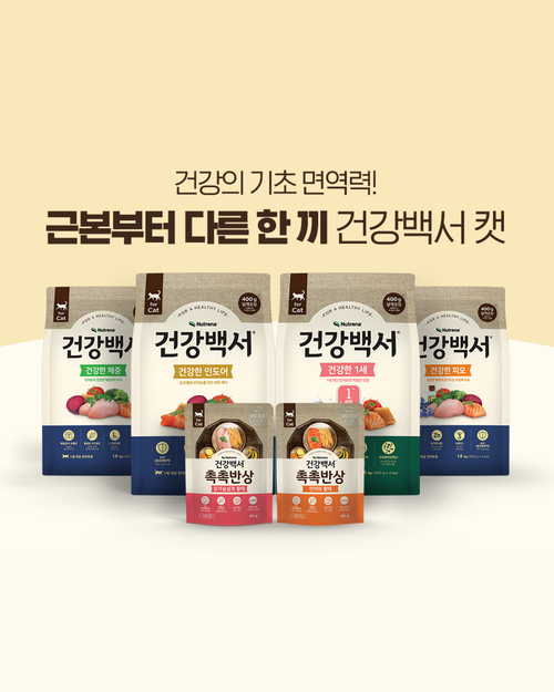 브랜드 라인업업 이미지