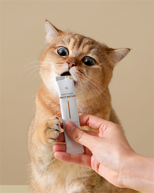 브랜드 라인업업 이미지