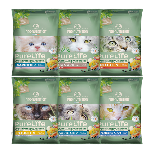 브랜드 라인업 이미지