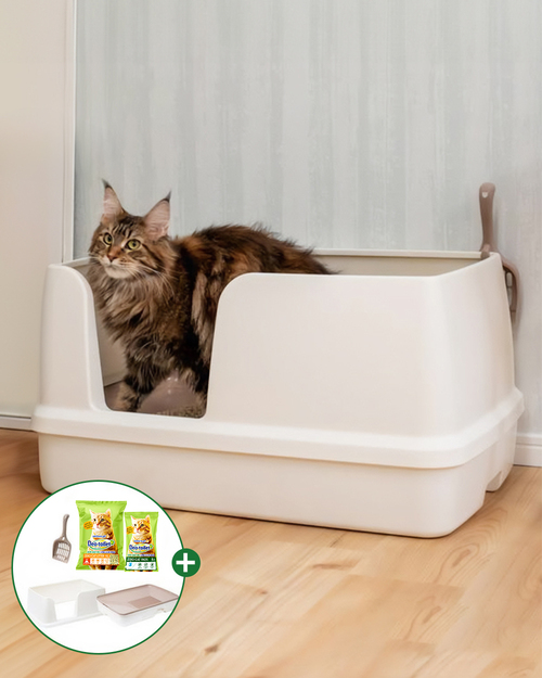 브랜드 라인업업 이미지