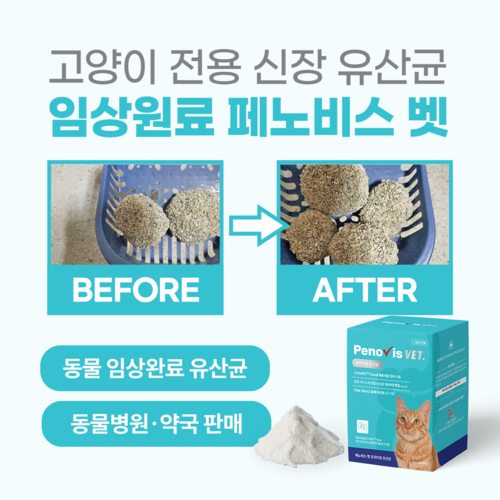 브랜드 라인업업 이미지