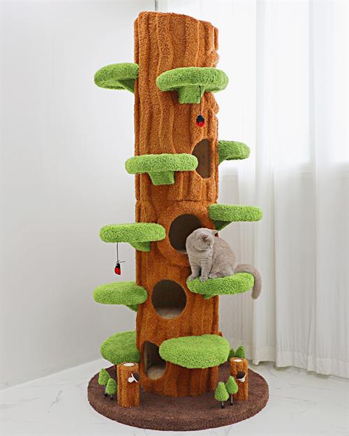 브랜드 라인업업 이미지