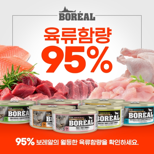 브랜드 라인업업 이미지