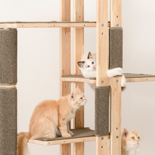 브랜드 라인업업 이미지