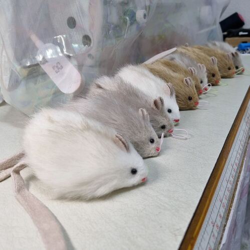 브랜드 라인업업 이미지