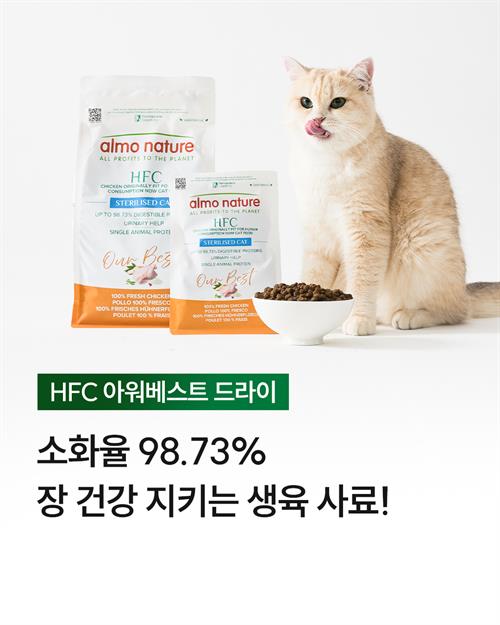 브랜드 라인업업 이미지