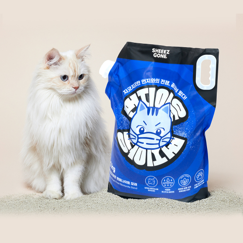 브랜드 라인업업 이미지