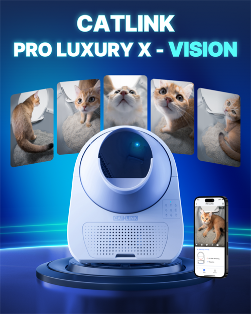 브랜드 라인업업 이미지