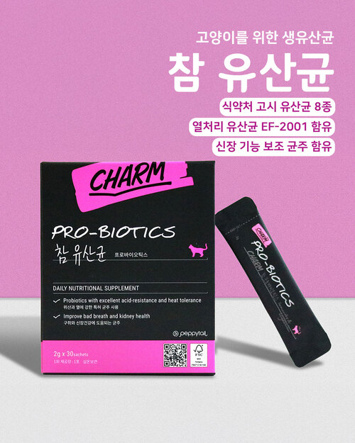 브랜드 라인업업 이미지