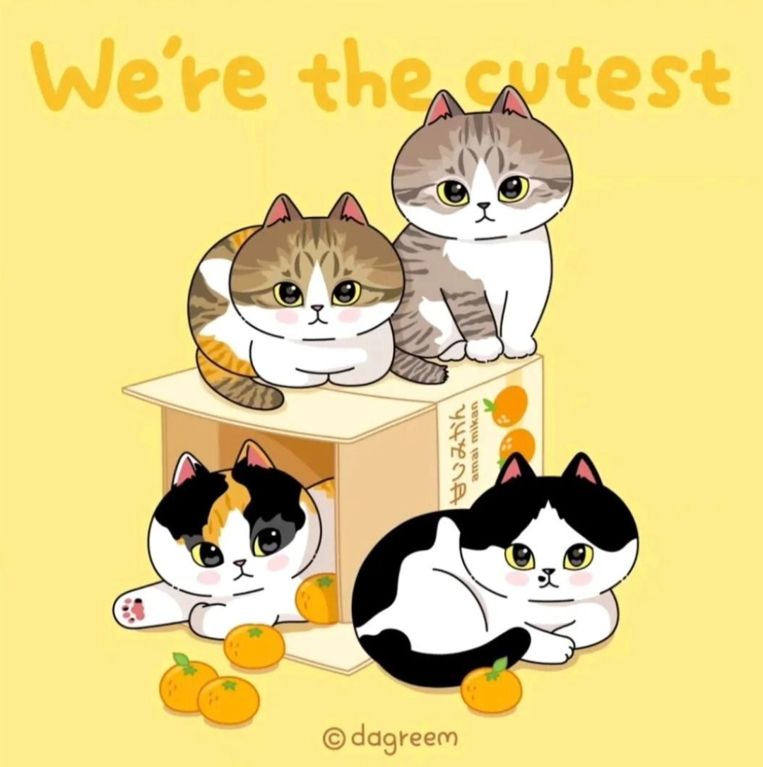 브랜드 메인 이미지